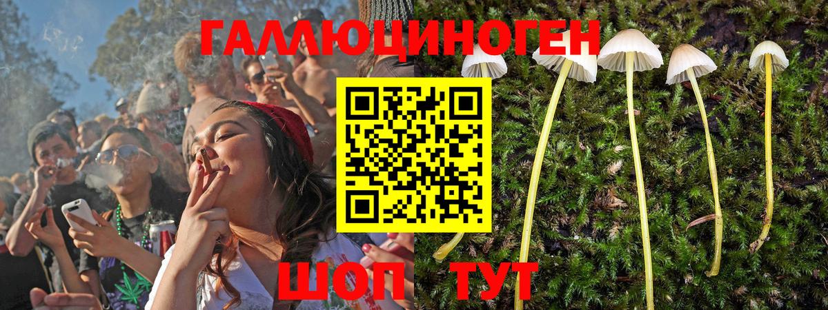 Галлюциногенные грибы GOLDEN TEACHER Коломна